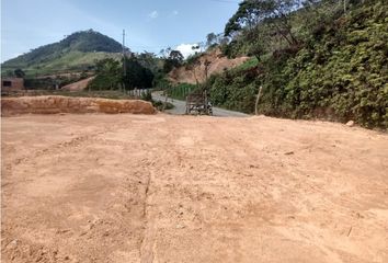 Lote de Terreno en  Santo Domingo, Antioquia