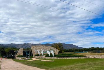 Terrenos en  Cortaderas, San Luis