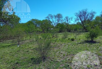 Terrenos en  Merlo, San Luis