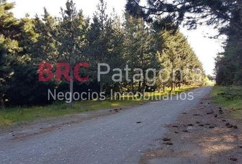 Terrenos en  San Carlos De Bariloche, San Carlos De Bariloche