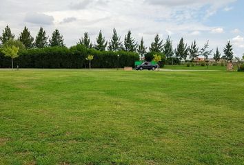 Terrenos en  Villa Nueva, Partido De Tigre