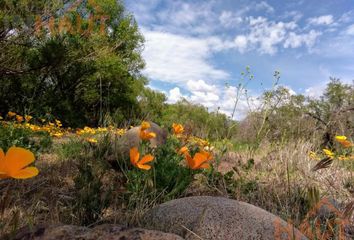 Terrenos en  Aluminé, Neuquen