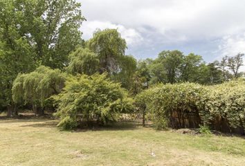 Terrenos en  General Pacheco, Partido De Tigre