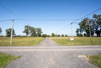 Terrenos en  Villa Elvira, Partido De La Plata