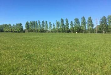 Terrenos en  La Colina Villa De Campo, Partido De Luján