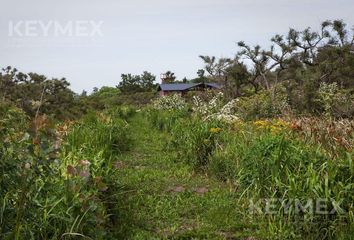 Terrenos en  Delta, Partido De Tigre