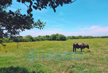 Lote de Terreno en  Alvarado Centro, Alvarado, Veracruz