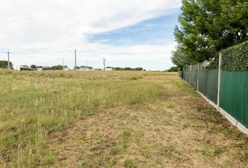 Terrenos en  Speluzzi, La Pampa