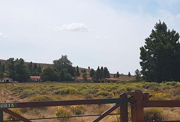 Terrenos en  General Roca, Río Negro