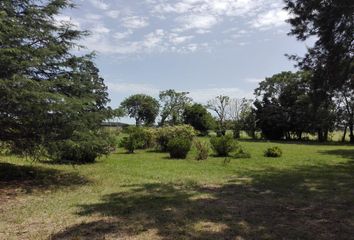 Terrenos en  Melchor Romero, Partido De La Plata