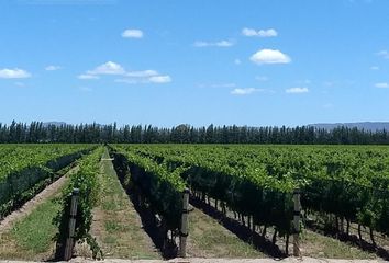 Terrenos en  San Rafael, Mendoza