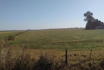 Terrenos en  Villa Amelia, Santa Fe