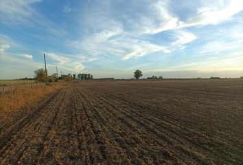 Terrenos en  Rueda, Santa Fe