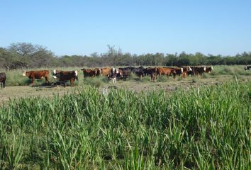 Terrenos en  Otro, Santa Fe Provincia