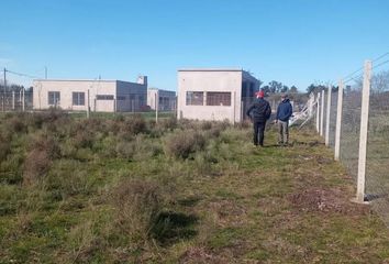 Terrenos en  Arturo Seguí, Partido De La Plata