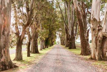 Terrenos en  El Campo - Fincas Exclusivas Cardales, Partido De Campana