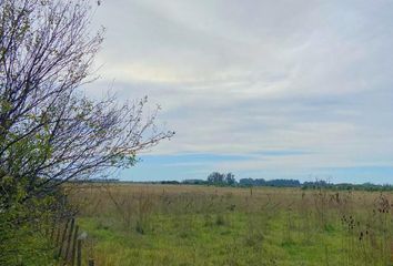 Terrenos en  San José, Mar Del Plata