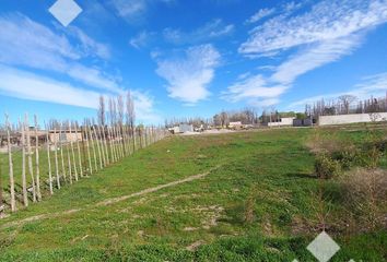 Terrenos en  Confluencia Urbana, Neuquén