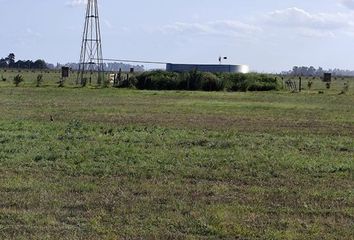 Terrenos en  San Vicente, Partido De San Vicente