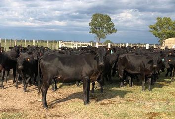 Terrenos en  Malbrán, Santiago Del Estero