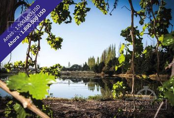 Terrenos en  San Martín, Mendoza