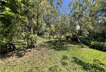 Lote de Terreno en  Valle De Bravo, Valle De Bravo