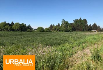 Parcela en  Yerbas Buenas, Linares