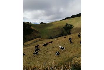 Villa-Quinta en  Subachoque, Cundinamarca