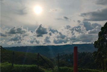 Casa en  Salento, Quindío