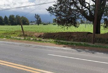 Lote de Terreno en  Tepetlixpa, Estado De México