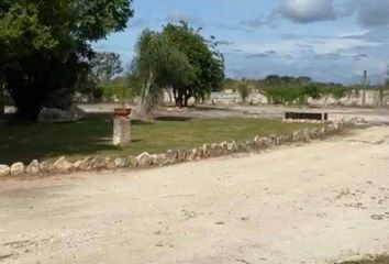 Lote de Terreno en  Chicxulub Pueblo, Yucatán