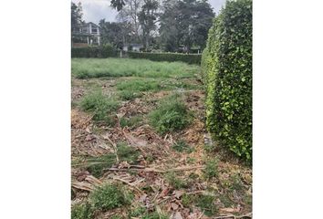 Lote de Terreno en  La Tebaida, Quindío