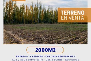 Terrenos en  Malargüe, Mendoza