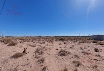 Terrenos en  Confluencia, Neuquen