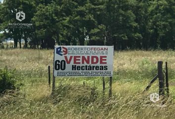 Terrenos en  Estancia Benquerencia, Partido De Monte