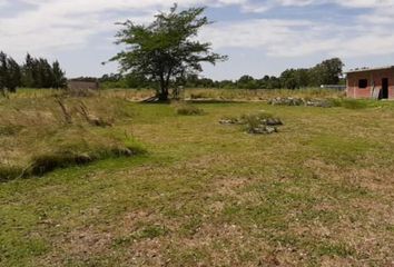 Terrenos en  Abasto, Partido De La Plata