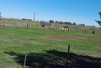 Terrenos en  San Cayetano, Partido De San Cayetano