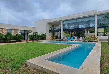 Lote de Terreno en  97334, San Ignacio, Yucatán, Mex