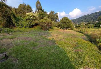 Lote de Terreno en  San Francisco Mihualtepec, Donato Guerra, México, Mex