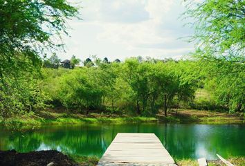 Lote de Terreno en  Montemorelos Centro, Montemorelos