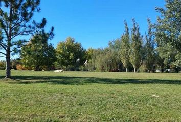 Terrenos en  Carlos Keen, Partido De Luján