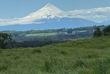 Parcela en  Puerto Varas, Llanquihue