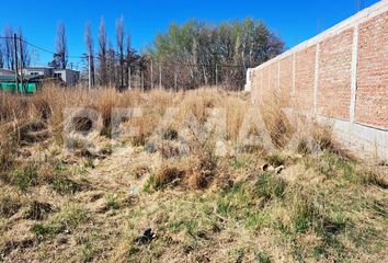 Terrenos en  Valentina Sur Rural, Neuquén