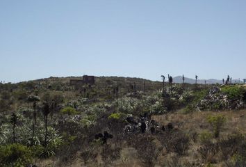 Parcela en  La Ligua, Petorca