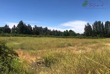 Parcela en  Calera De Tango, Maipo