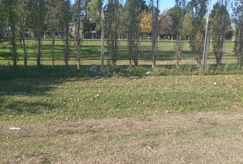 Terrenos en  Santa Rosa, Partido De Cañuelas