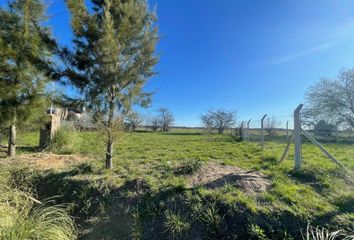 Terrenos en  Máximo Paz, Partido De Cañuelas