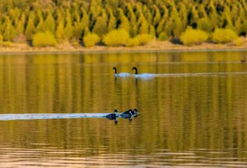 Terrenos en  Esquel, Chubut