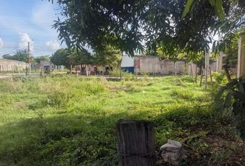 Lote de Terreno en  Bosconia, Cesar