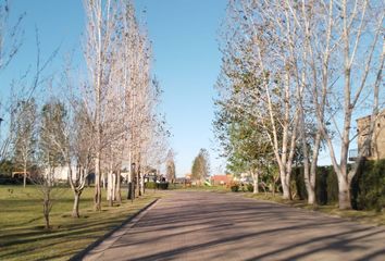 Terrenos en  Alejandro Petión, Partido De Cañuelas